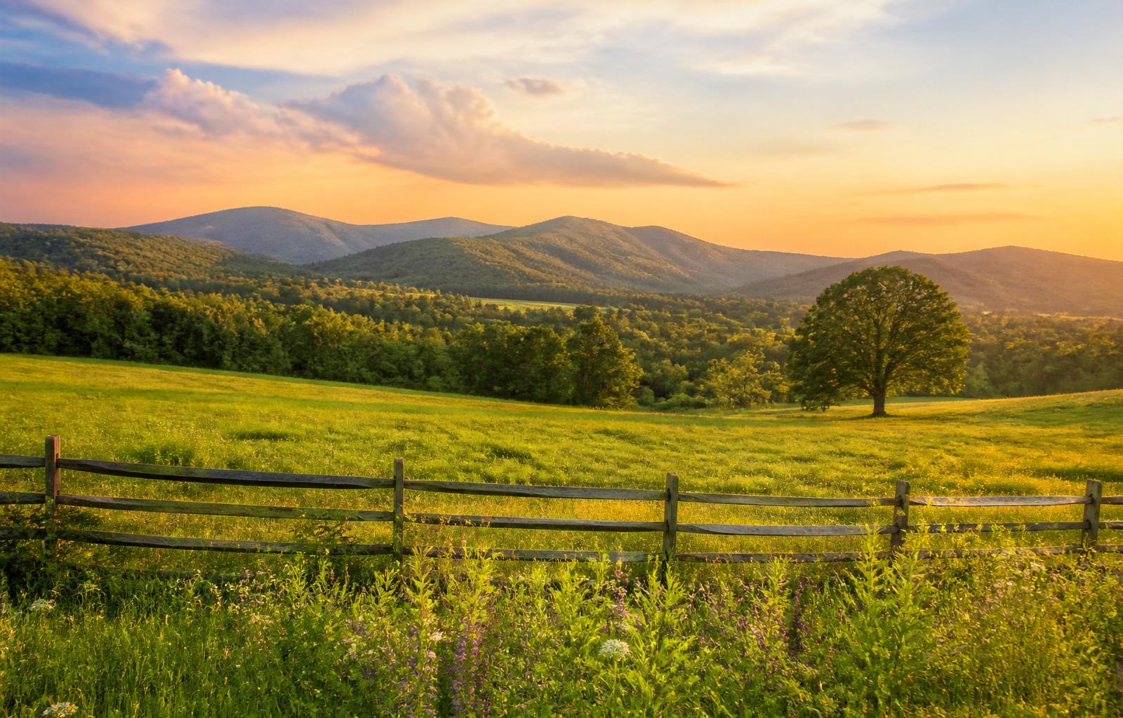 Virginia Blue Ridge foothills and pasture at golden hour